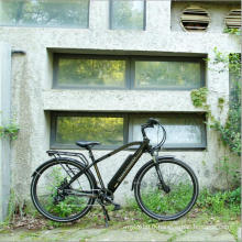 Vente chaude pas cher 36V250W vélo électrique de ville, Bafang arrière vélo électrique à mi-course, vert électrique e vélo
